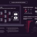 Darknet Market Bust