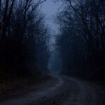Dark Web Vendors