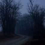 Dark Market Links