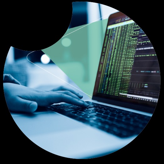 darknet escrow