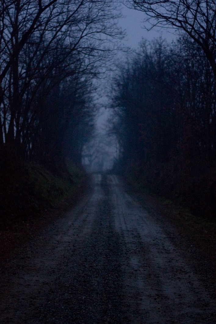 dark markets hungary