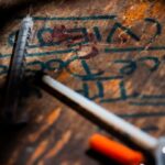 Best Darknet Market Sites