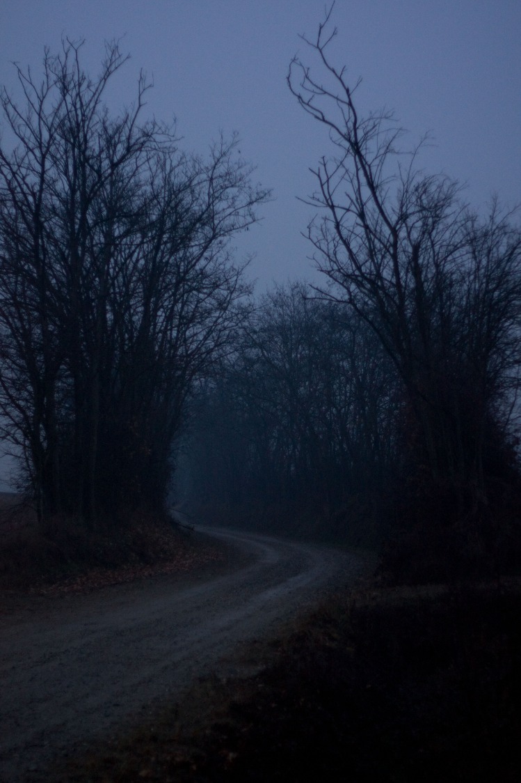 dark web market place links