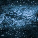 Dark Web News