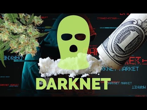 best darknet market for weed 2026