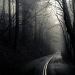 Dark Web Trading