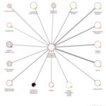 Biggest Darknet Market