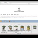 Darknet Drugs Guide