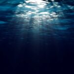 Deep Web Drug Url