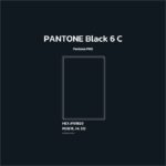 Black Internet
