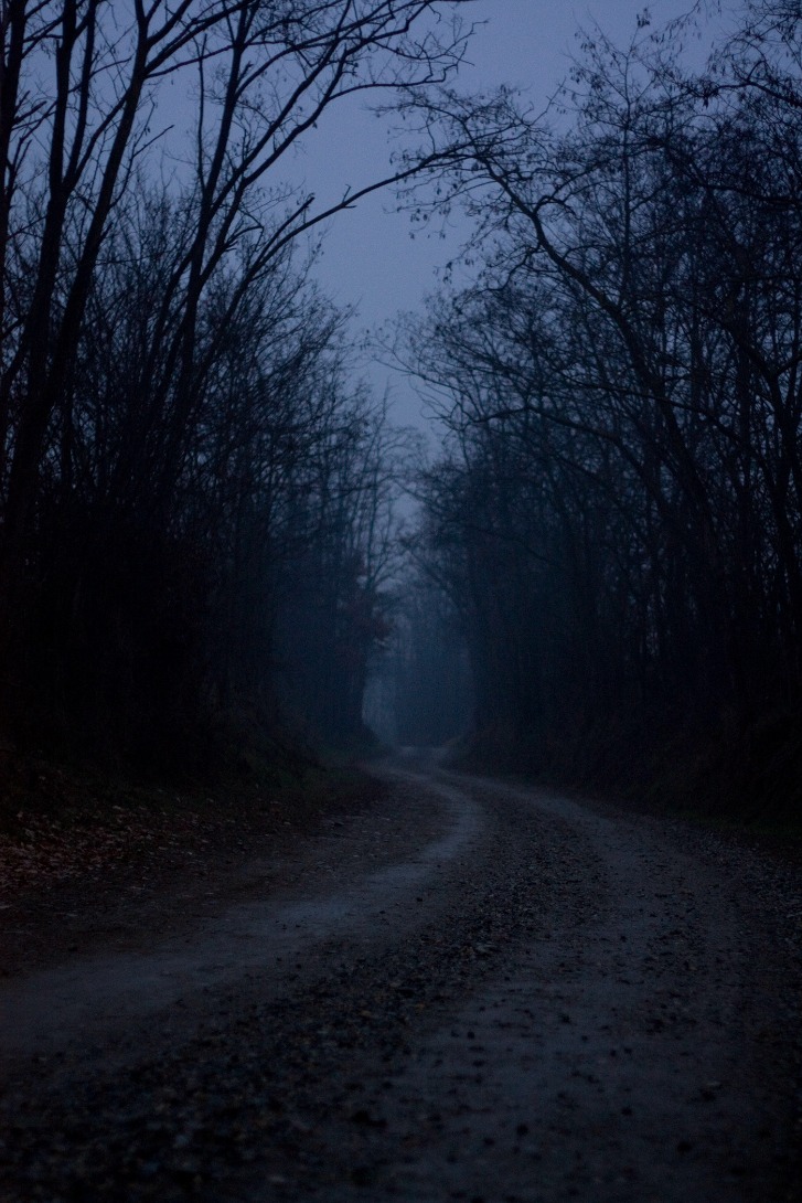 dark markets slovakia