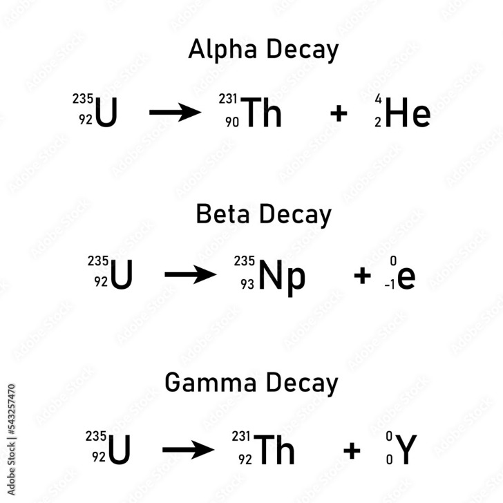 alpha market darknet