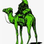 Dark Web Silk Road