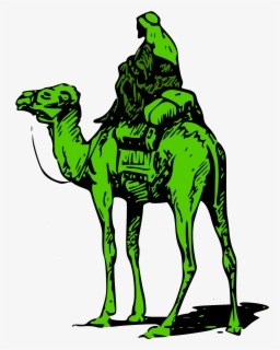 Dark Web Silk Road