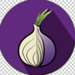 Archetyp Market Link