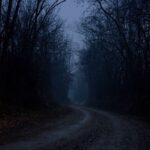 Dark Web Steroids