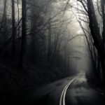 Dark Web Marketplace