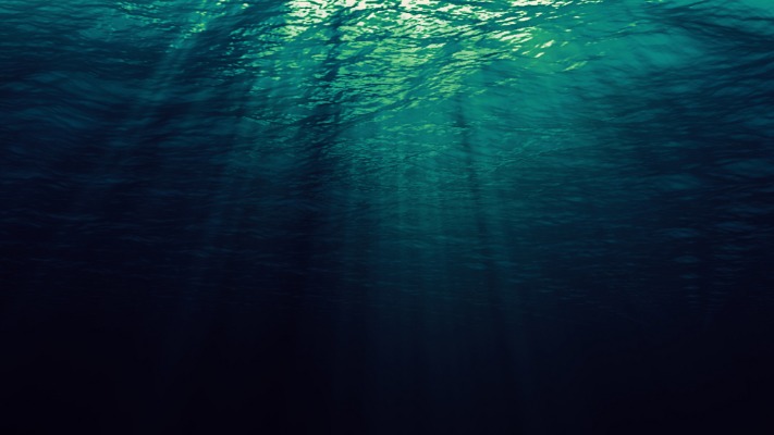 deep web software market