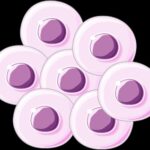 Darknet Drugs Links