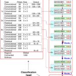 Darknet Bitcoin Market