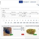 Alphabay Market Url