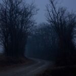 Dark Web Market Reviews