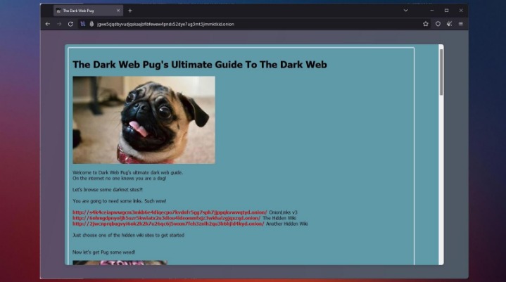 how do you access the dark web