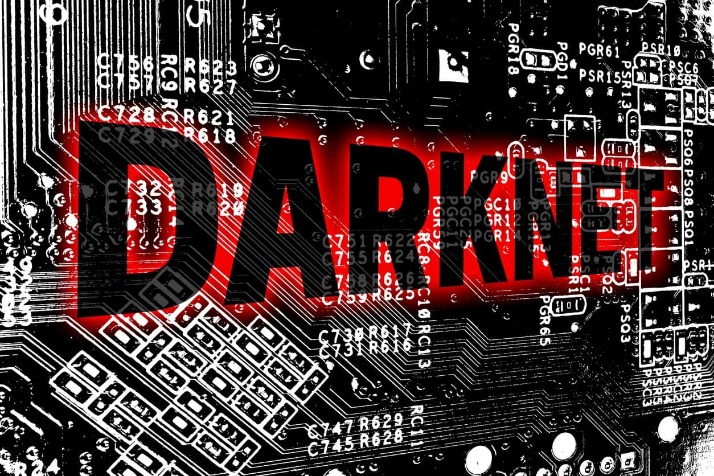 Darknet Market Busts