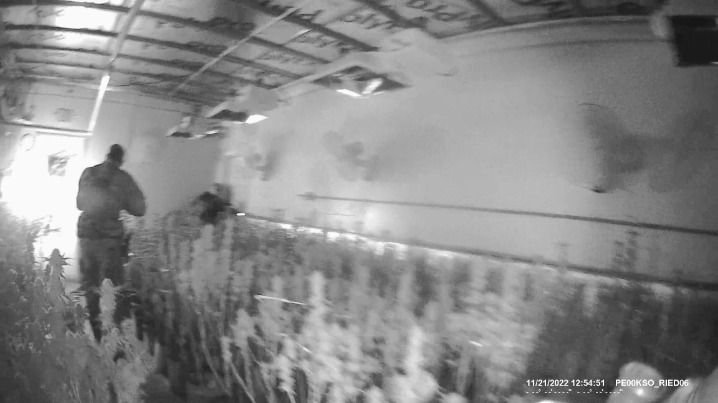 darknet illicit drugs