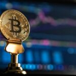 Bitcoin Dark Web