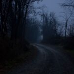 Dark Net Guide