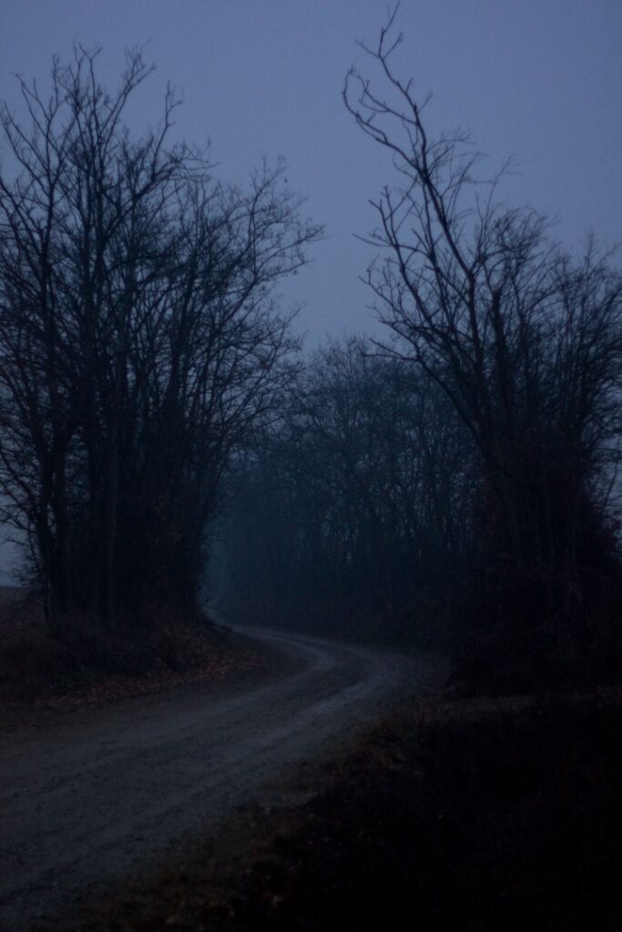 Dark Markets France