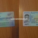 Fake Id Dark Web 2026