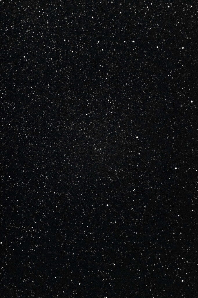 Black Market Website Names