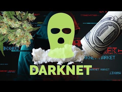 Best Darknet Market Now