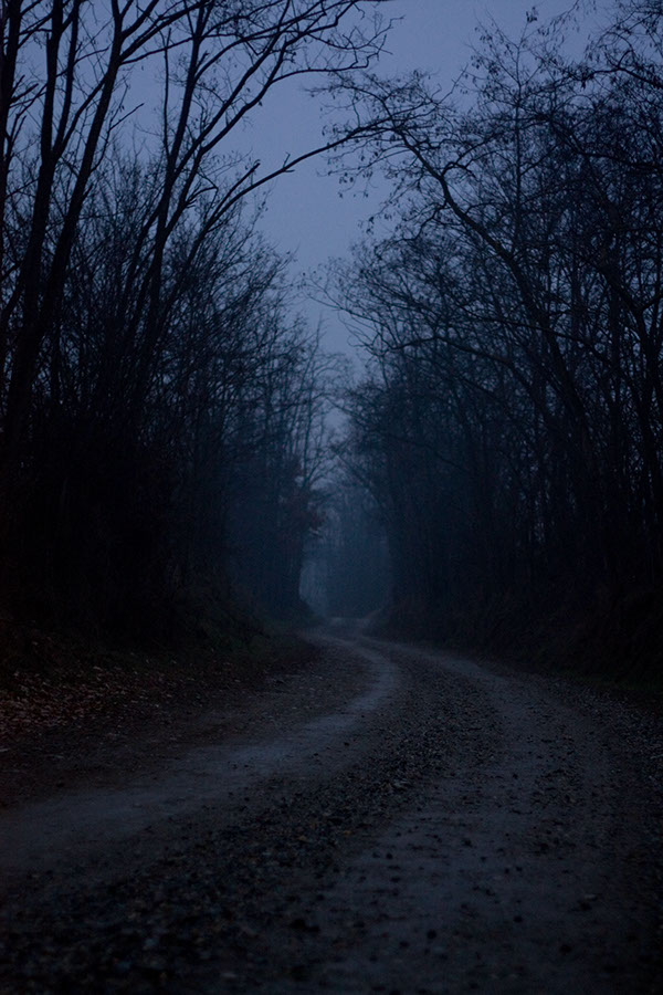 dark markets bulgaria