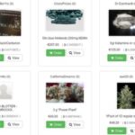 Darknet Markets Deepdotweb